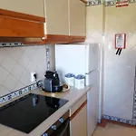 Al-dream Oura Estrela - Cd